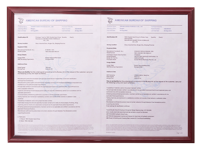 Китайский CCS