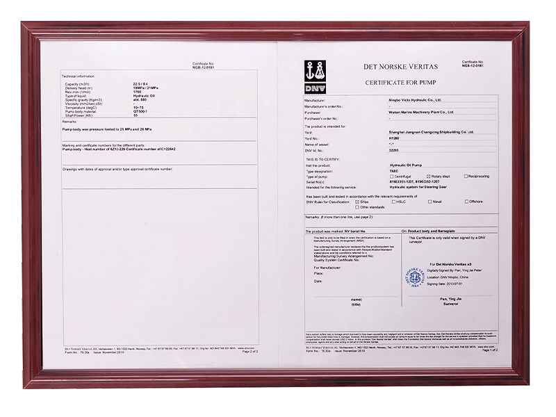 Норвежский DNV